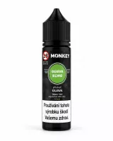 GUAVA ECHO